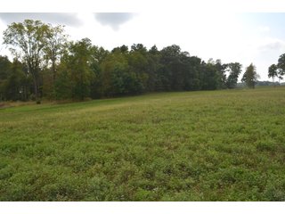 Pond in Dekalb County, Indiana - MAJOR LAND AUCTION - 516+/- ACRES OFFERED IN 18 TRACTS OR COMBINATIONS IN DEKALB COUNTY, INDIANA